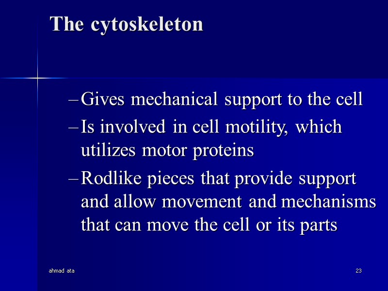 ahmad ata 23 The cytoskeleton  Gives mechanical support to the cell Is involved